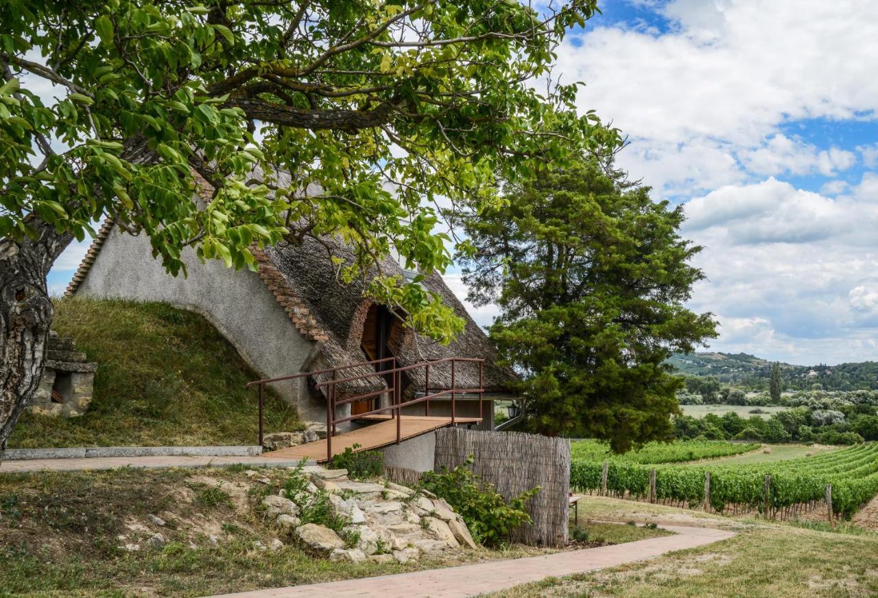 Villa Mali Pince Aszofo Exterior foto