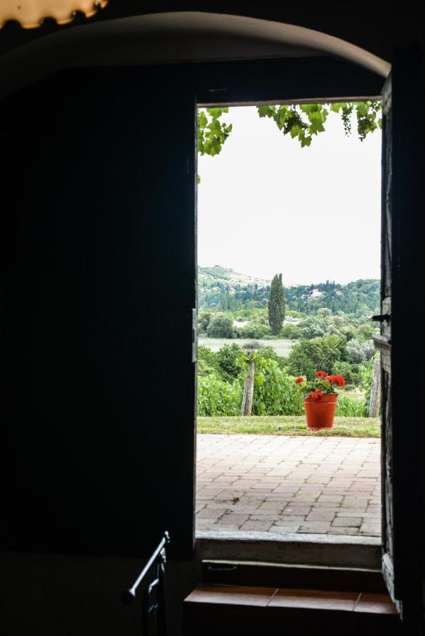 Villa Mali Pince Aszofo Exterior foto
